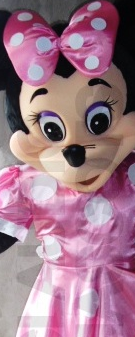 Tampa Costumed Characters