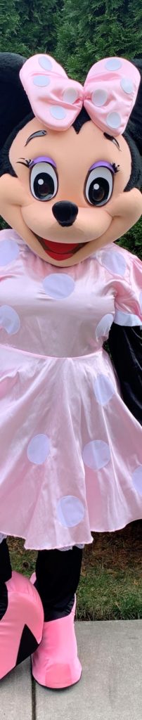 Tampa Costumed Characters