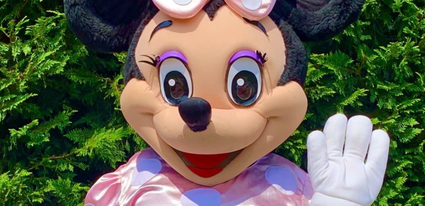 Tampa Kids Party Characters
